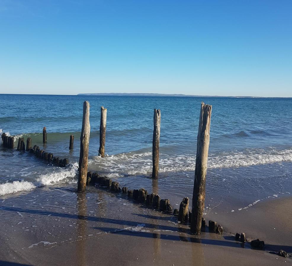 Ostseetraeume بريجا المظهر الخارجي الصورة